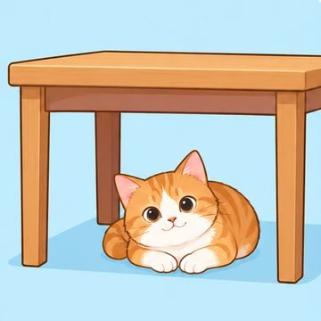 a cat lying under a table